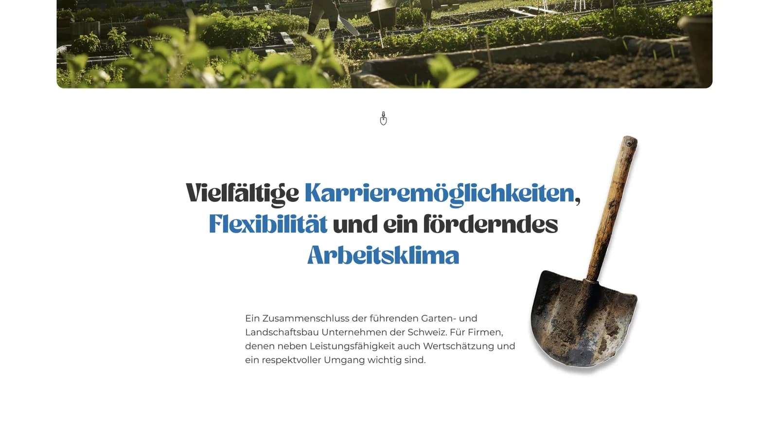 The B+G Schweiz Gruppe statement
