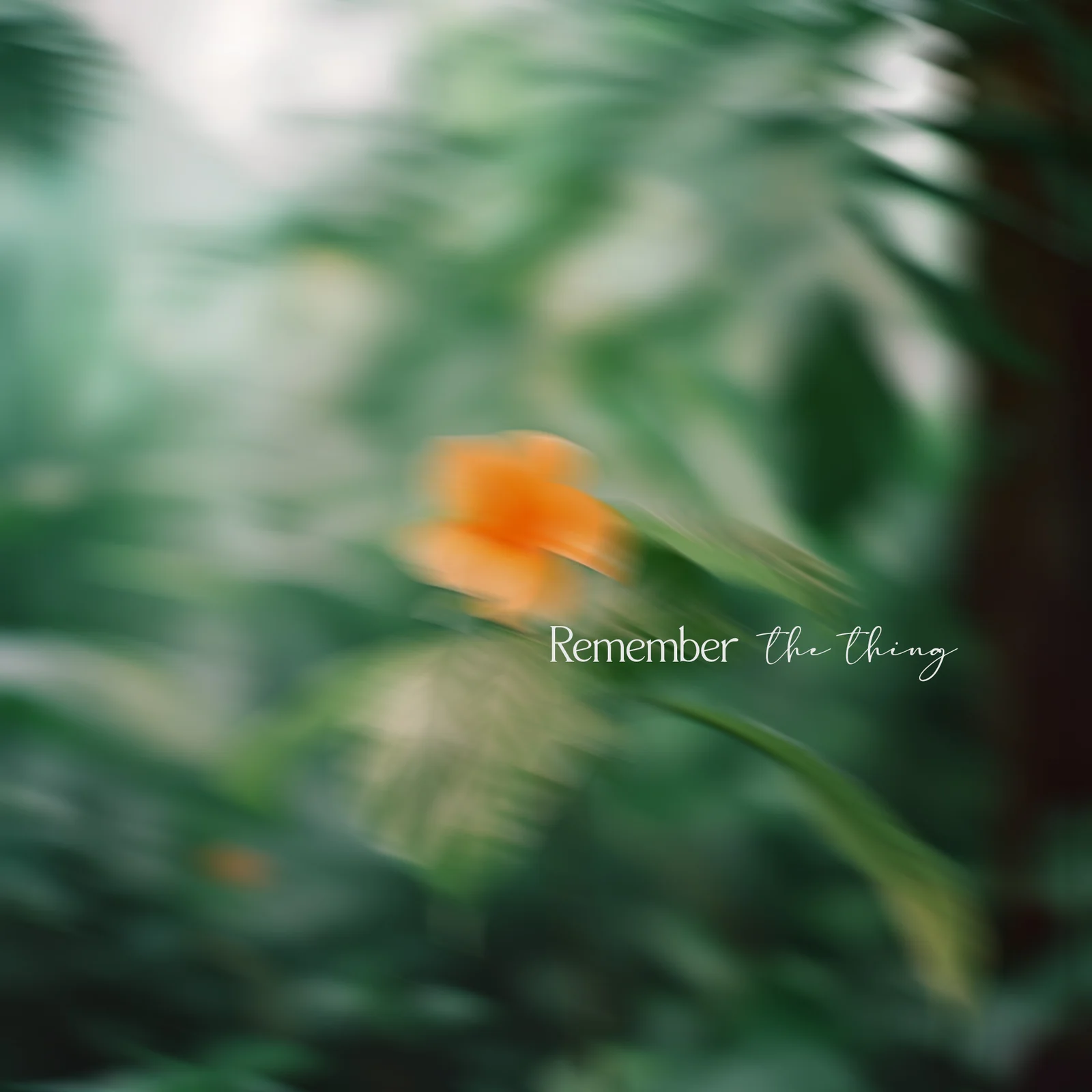 Remember frame